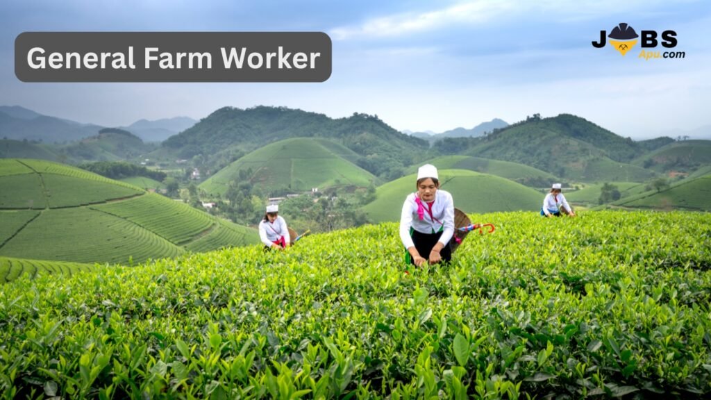General Farm Worker Jobs in Italy